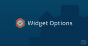 Extended widget options