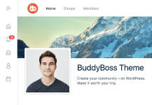 Buddyboss theme