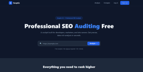 Professional SEO Auditing Free.png