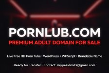 FOR SALE PORNLUB.COM – Premium Brandable Adult Domain + Fully Working Free HD Porn Tube.jpg
