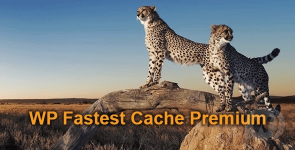 Wp fastest cache premium