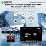 Experience The World Of Digital Gems With The Exclusive NFT Collection.png