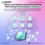 Improve Your Business Acumen By Working With The Top IoT Development Company.png