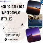 Contact JetBlue