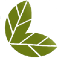 kdthoaphat