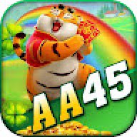 aa45org